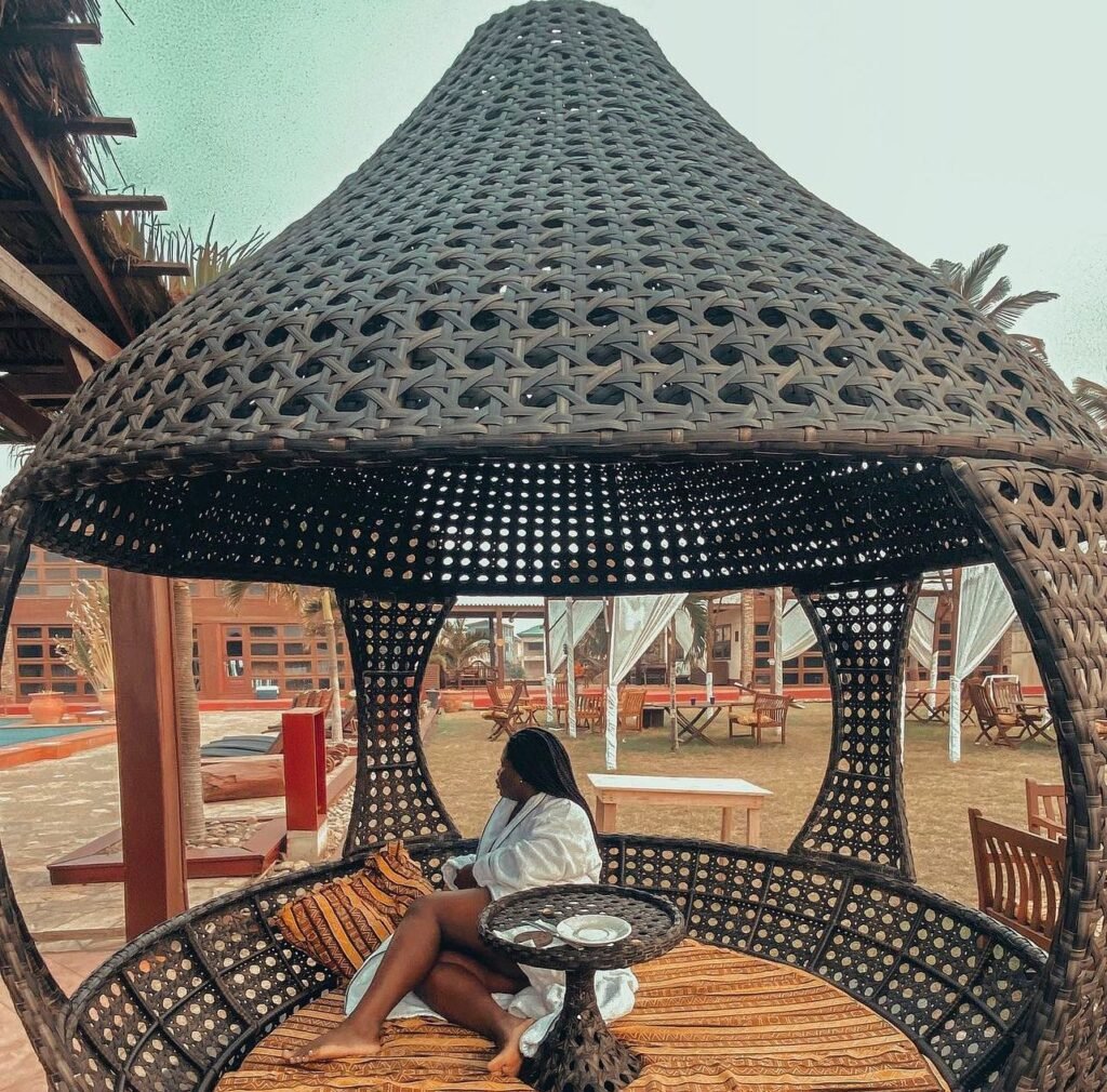 the palms outdoors