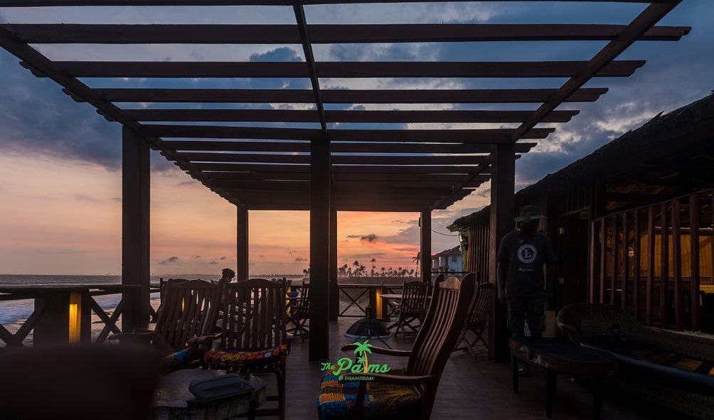 the palms sunset